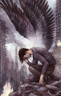 охота на дьявола