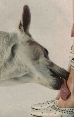 Ты не уйдешь от меня «Турбо/Валерий Туркин»