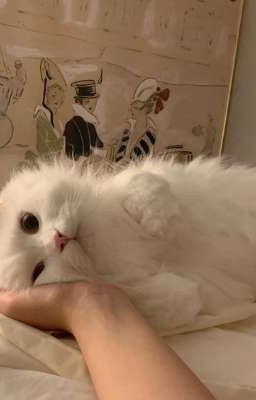 Кусочек души 