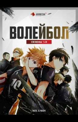 Волейбол .Новый менеджер 