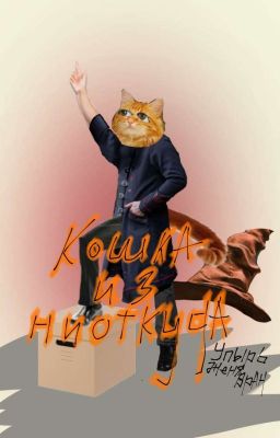 Кошка из ниоткуда