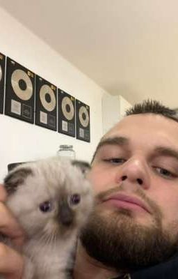 Кто такой Данилла Горилла?