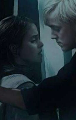 🦁От неновести до любви🐍