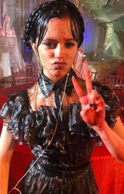 черный котенок. 