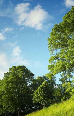 Дом вампиров.