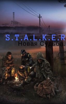 S.T.A.L.K.E.R Новая Судьба