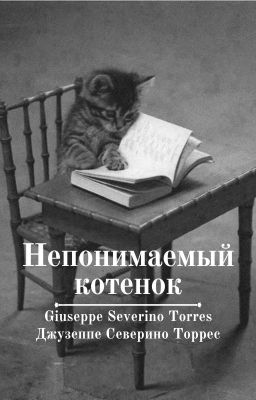 Непонимаемый котенок