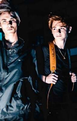 Новая Жизнь