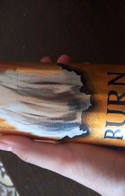 5 часов утра