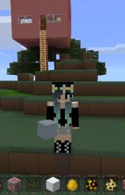 мир по моим правелам