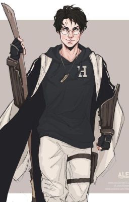 Гамбит Гарри