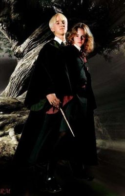 Любовь к Грязнокровки 