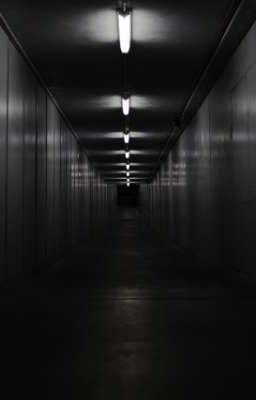 Загадочный коридор скрытых тайн 