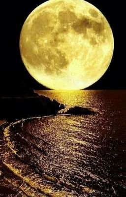 Подростки:Большая ночь