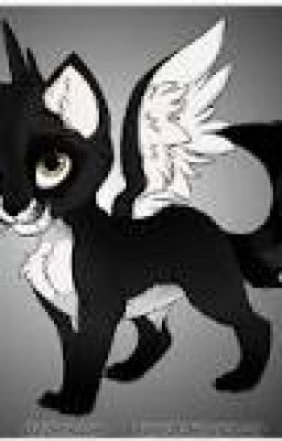 Коты - Воители: * Избраная Звездами*