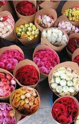 Серая мышка