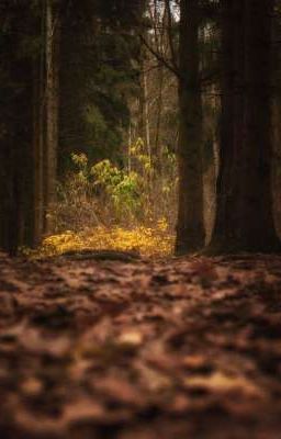 по кругу проклятия