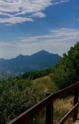 Дорога потерь?...