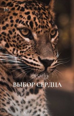 Выбор сердца 