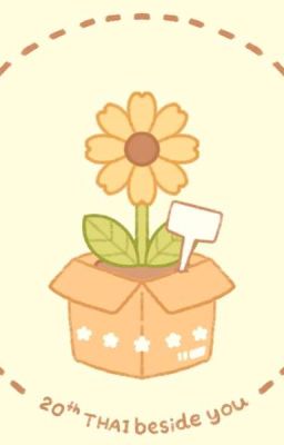 милые моменты по Пвл/Countrymans/13карт/Китайским новеллам) 