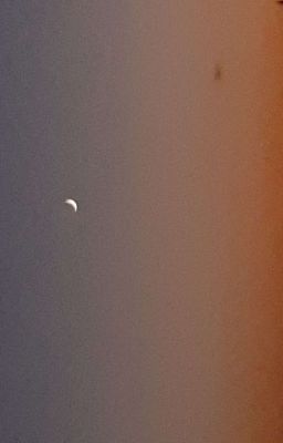 Лови мгновение, пока время спит 