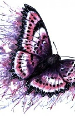 Случайное знакомство