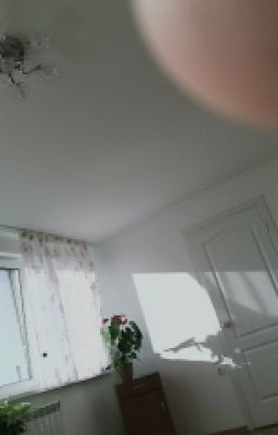 С нового дня