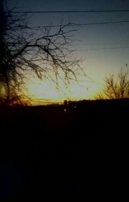 Шлюха на заказ