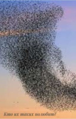 Кто их таких полюбит?