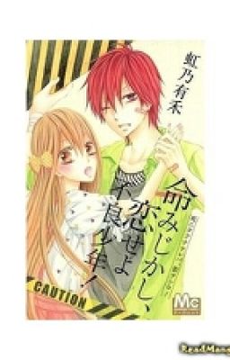 Принцесса и Хулиган. 