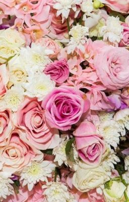 Нежность(18+) 