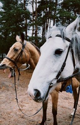 Забыть невозможно