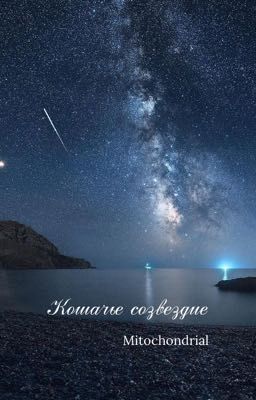 Кошачье созвездие 