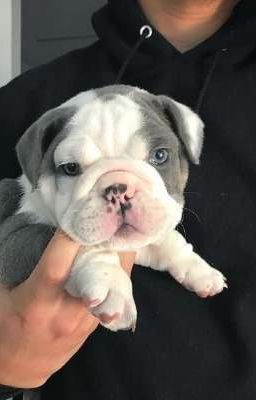 Детдомовская особа