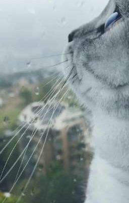 Моя музыка и ее текст.