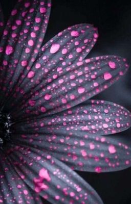 Исправить Все 