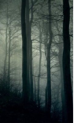 Тёмное прошлое