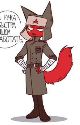 Как я случайно попал в Countryhumans (кринж Заморожен)