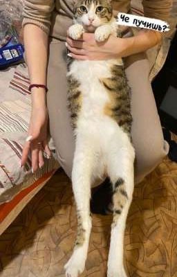 Больше чем друзья🗿❤