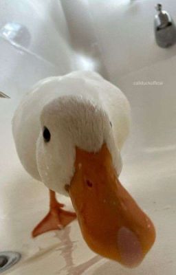 с разлуки до любви