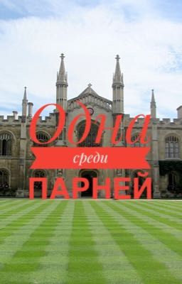 Одна среди парней