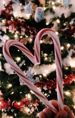 Любимые враги 