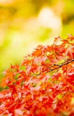 Маленький принц