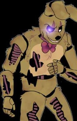 Крч, Y/N и Спрингтрап