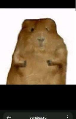 Гарри Поттер 