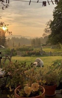 жизнь с чистого листа