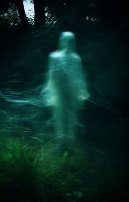 На грани реальности 