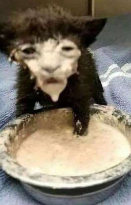 Фанфик про Эли и Рея