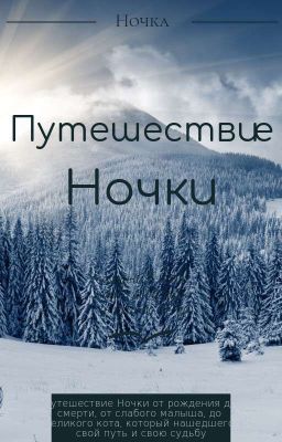 Путешествие Ночки