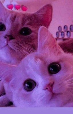 Сасунару Картьнкы